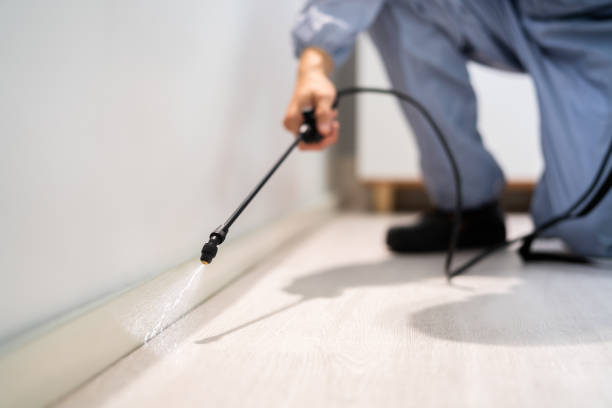 Licensed Mosquito Control service in Rochester, WA - Show Me Pest Control
