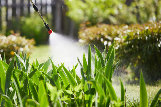 24/7 Emergency Mosquito Control experts in Rochester, WA