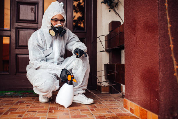Reliable Mosquito Control contractor in Rochester, WA by Show Me Pest Control
