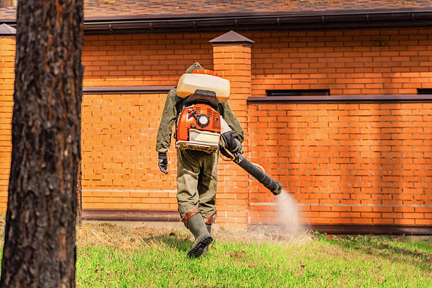 Top rated local Mosquito Control specialists in Rochester, WA